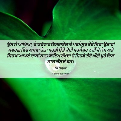Picture 06 - 1 ਰਾਜਿਆਂ 8:23 PANIRV - ਉਸ ਨੇ ਆਖਿਆ, ਹੇ - Bible Verse Picture