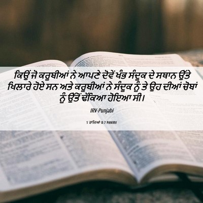 Picture 06 - 1 ਰਾਜਿਆਂ 8:7 PANIRV - ਕਿਉਂ ਜੋ ਕਰੂਬੀਆਂ ਨੇ - Bible Verse Picture