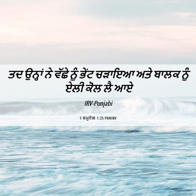 Picture 06 - 1 ਸਮੂਏਲ 1:25 PANIRV - ਤਦ ਉਨ੍ਹਾਂ ਨੇ ਵੱਛੇ - Bible Verse Picture