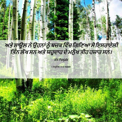 Picture 06 - 1 ਸਮੂਏਲ 11:8 PANIRV - ਅਤੇ ਸ਼ਾਊਲ ਨੇ ਉਹਨਾਂ - Bible Verse Picture