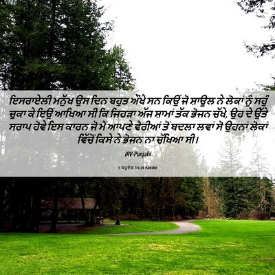 Picture 06 - 1 ਸਮੂਏਲ 14:24 PANIRV - ਇਸਰਾਏਲੀ ਮਨੁੱਖ ਉਸ - Bible Verse Picture