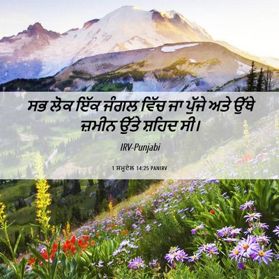 Picture 06 - 1 ਸਮੂਏਲ 14:25 PANIRV - ਸਭ ਲੋਕ ਇੱਕ ਜੰਗਲ - Bible Verse Picture