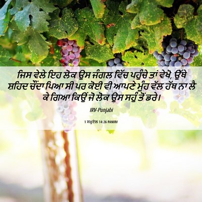 Picture 06 - 1 ਸਮੂਏਲ 14:26 PANIRV - ਜਿਸ ਵੇਲੇ ਇਹ ਲੋਕ ਉਸ - Bible Verse Picture