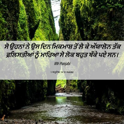 Picture 06 - 1 ਸਮੂਏਲ 14:31 PANIRV - ਸੋ ਉਹਨਾਂ ਨੇ ਉਸ ਦਿਨ - Bible Verse Picture