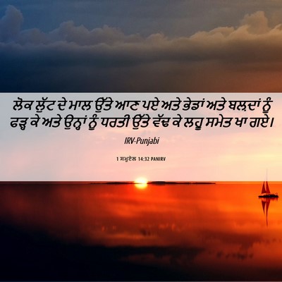 Picture 06 - 1 ਸਮੂਏਲ 14:32 PANIRV - ਲੋਕ ਲੁੱਟ ਦੇ ਮਾਲ - Bible Verse Picture
