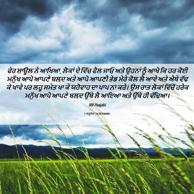 Picture 06 - 1 ਸਮੂਏਲ 14:34 PANIRV - ਫੇਰ ਸ਼ਾਊਲ ਨੇ ਆਖਿਆ, - Bible Verse Picture