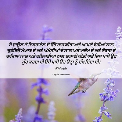 Picture 06 - 1 ਸਮੂਏਲ 14:47 PANIRV - ਸੋ ਸ਼ਾਊਲ ਨੇ ਇਸਰਾਏਲ - Bible Verse Picture
