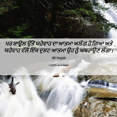 Picture 06 - 1 ਸਮੂਏਲ 16:14 PANIRV - ਪਰ ਸ਼ਾਊਲ ਉੱਤੋਂ - Bible Verse Picture