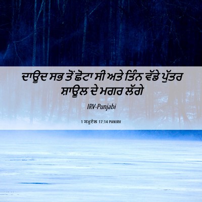 Picture 06 - 1 ਸਮੂਏਲ 17:14 PANIRV - ਦਾਊਦ ਸਭ ਤੋਂ ਛੋਟਾ ਸੀ - Bible Verse Picture
