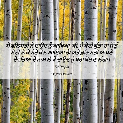 Picture 06 - 1 ਸਮੂਏਲ 17:43 PANIRV - ਸੋ ਫ਼ਲਿਸਤੀ ਨੇ ਦਾਊਦ - Bible Verse Picture