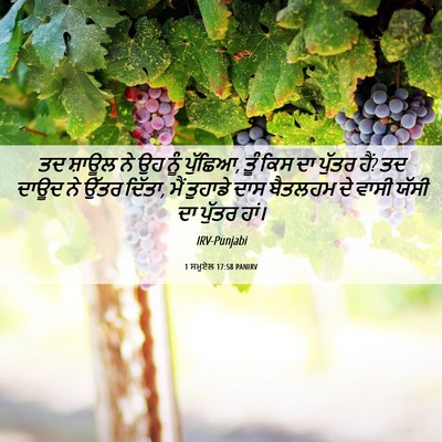 Picture 06 - 1 ਸਮੂਏਲ 17:58 PANIRV - ਤਦ ਸ਼ਾਊਲ ਨੇ ਉਹ ਨੂੰ - Bible Verse Picture