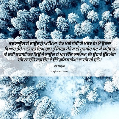 Picture 06 - 1 ਸਮੂਏਲ 18:17 PANIRV - ਤਦ ਸ਼ਾਊਲ ਨੇ ਦਾਊਦ - Bible Verse Picture