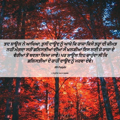 Picture 06 - 1 ਸਮੂਏਲ 18:25 PANIRV - ਤਦ ਸ਼ਾਊਲ ਨੇ ਆਖਿਆ, - Bible Verse Picture