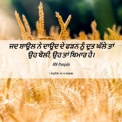 Picture 06 - 1 ਸਮੂਏਲ 19:14 PANIRV - ਜਦ ਸ਼ਾਊਲ ਨੇ ਦਾਊਦ ਦੇ - Bible Verse Picture