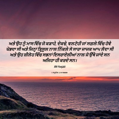 Picture 06 - 1 ਸਮੂਏਲ 2:14 PANIRV - ਅਤੇ ਉਹ ਨੂੰ ਮਾਸ ਵਿੱਚ - Bible Verse Picture