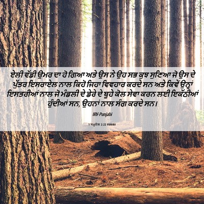 Picture 06 - 1 ਸਮੂਏਲ 2:22 PANIRV - ਏਲੀ ਵੱਡੀ ਉਮਰ ਦਾ ਹੋ - Bible Verse Picture