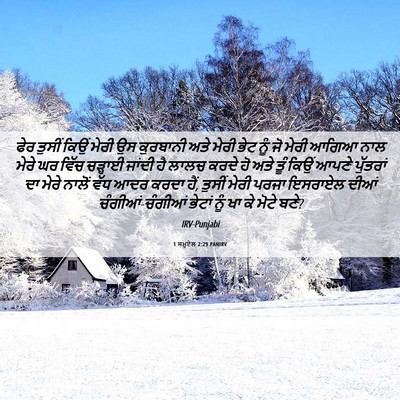 Picture 06 - 1 ਸਮੂਏਲ 2:29 PANIRV - ਫੇਰ ਤੁਸੀਂ ਕਿਉਂ - Bible Verse Picture