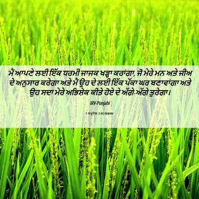 Picture 06 - 1 ਸਮੂਏਲ 2:35 PANIRV - ਮੈਂ ਆਪਣੇ ਲਈ ਇੱਕ - Bible Verse Picture