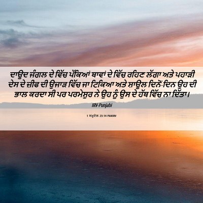 Picture 06 - 1 ਸਮੂਏਲ 23:14 PANIRV - ਦਾਊਦ ਜੰਗਲ ਦੇ ਵਿੱਚ - Bible Verse Picture