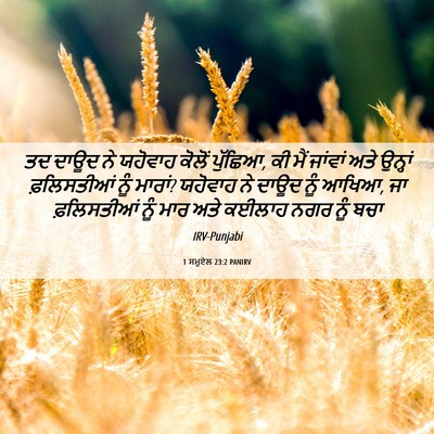 Picture 06 - 1 ਸਮੂਏਲ 23:2 PANIRV - ਤਦ ਦਾਊਦ ਨੇ ਯਹੋਵਾਹ - Bible Verse Picture