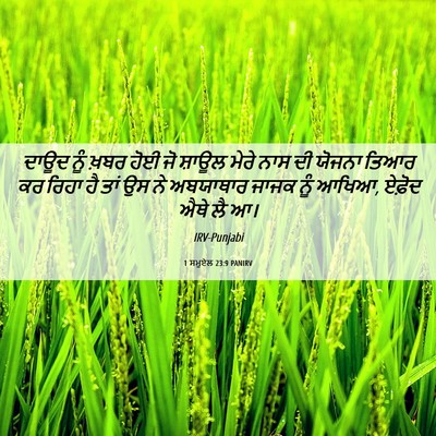 Picture 06 - 1 ਸਮੂਏਲ 23:9 PANIRV - ਦਾਊਦ ਨੂੰ ਖ਼ਬਰ ਹੋਈ - Bible Verse Picture