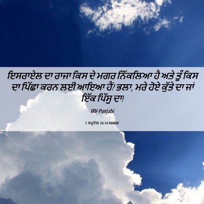 Picture 06 - 1 ਸਮੂਏਲ 24:14 PANIRV - ਇਸਰਾਏਲ ਦਾ ਰਾਜਾ ਕਿਸ - Bible Verse Picture