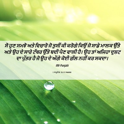 Picture 06 - 1 ਸਮੂਏਲ 25:17 PANIRV - ਸੋ ਹੁਣ ਸਮਝੋ ਅਤੇ - Bible Verse Picture