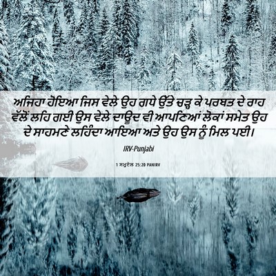 Picture 06 - 1 ਸਮੂਏਲ 25:20 PANIRV - ਅਜਿਹਾ ਹੋਇਆ ਜਿਸ - Bible Verse Picture