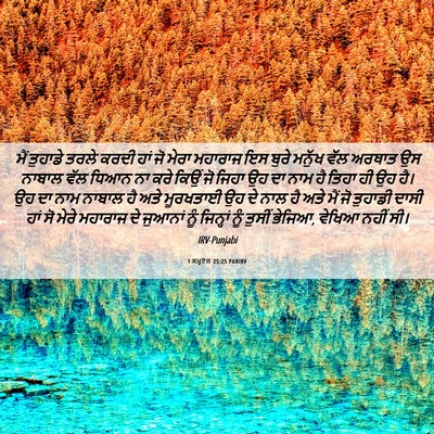 Picture 06 - 1 ਸਮੂਏਲ 25:25 PANIRV - ਮੈਂ ਤੁਹਾਡੇ ਤਰਲੇ - Bible Verse Picture