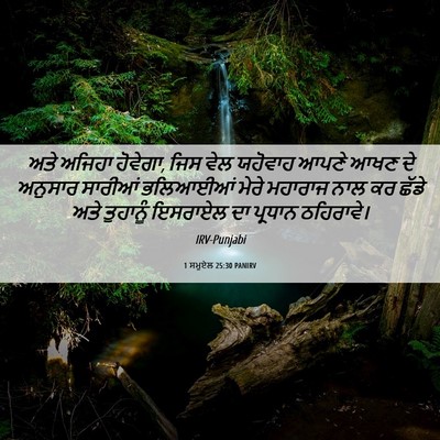 Picture 06 - 1 ਸਮੂਏਲ 25:30 PANIRV - ਅਤੇ ਅਜਿਹਾ ਹੋਵੇਗਾ, - Bible Verse Picture