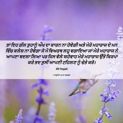 Picture 06 - 1 ਸਮੂਏਲ 25:31 PANIRV - ਤਾਂ ਇਹ ਗੱਲ ਤੁਹਾਨੂੰ - Bible Verse Picture