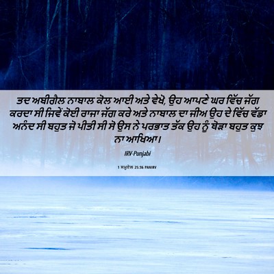 Picture 06 - 1 ਸਮੂਏਲ 25:36 PANIRV - ਤਦ ਅਬੀਗੈਲ ਨਾਬਾਲ - Bible Verse Picture
