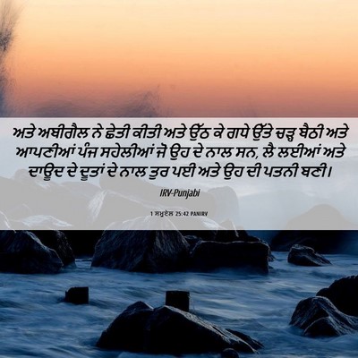 Picture 06 - 1 ਸਮੂਏਲ 25:42 PANIRV - ਅਤੇ ਅਬੀਗੈਲ ਨੇ ਛੇਤੀ - Bible Verse Picture