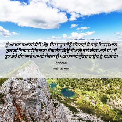 Picture 06 - 1 ਸਮੂਏਲ 25:8 PANIRV - ਤੂੰ ਆਪਣੇ ਜੁਆਨਾਂ - Bible Verse Picture