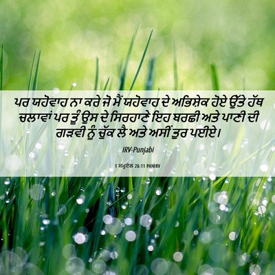Picture 06 - 1 ਸਮੂਏਲ 26:11 PANIRV - ਪਰ ਯਹੋਵਾਹ ਨਾ ਕਰੇ ਜੋ - Bible Verse Picture