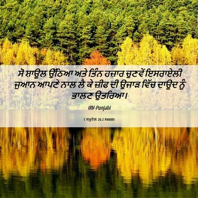 Picture 06 - 1 ਸਮੂਏਲ 26:2 PANIRV - ਸੋ ਸ਼ਾਊਲ ਉੱਠਿਆ ਅਤੇ - Bible Verse Picture