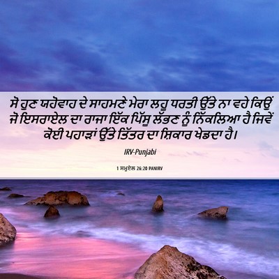 Picture 06 - 1 ਸਮੂਏਲ 26:20 PANIRV - ਸੋ ਹੁਣ ਯਹੋਵਾਹ ਦੇ - Bible Verse Picture