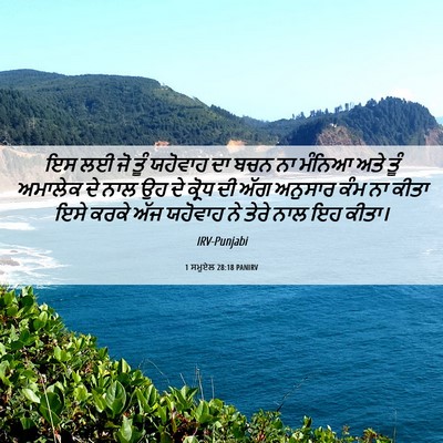 Picture 06 - 1 ਸਮੂਏਲ 28:18 PANIRV - ਇਸ ਲਈ ਜੋ ਤੂੰ ਯਹੋਵਾਹ - Bible Verse Picture