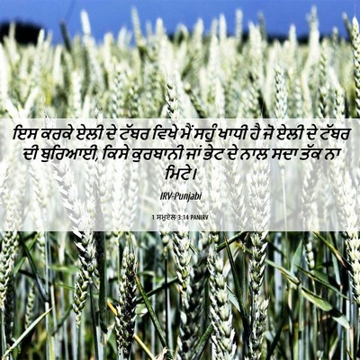 Picture 06 - 1 ਸਮੂਏਲ 3:14 PANIRV - ਇਸ ਕਰਕੇ ਏਲੀ ਦੇ ਟੱਬਰ - Bible Verse Picture