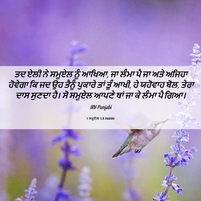 Picture 06 - 1 ਸਮੂਏਲ 3:9 PANIRV - ਤਦ ਏਲੀ ਨੇ ਸਮੂਏਲ ਨੂੰ - Bible Verse Picture