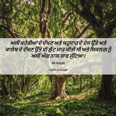 Picture 06 - 1 ਸਮੂਏਲ 30:14 PANIRV - ਅਸੀਂ ਕਰੇਤੀਆਂ ਦੇ - Bible Verse Picture