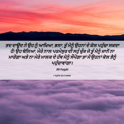 Picture 06 - 1 ਸਮੂਏਲ 30:15 PANIRV - ਤਦ ਦਾਊਦ ਨੇ ਉਹ ਨੂੰ - Bible Verse Picture