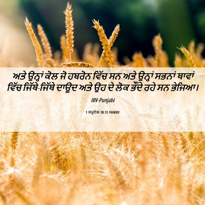 Picture 06 - 1 ਸਮੂਏਲ 30:31 PANIRV - ਅਤੇ ਉਨ੍ਹਾਂ ਕੋਲ ਜੋ - Bible Verse Picture