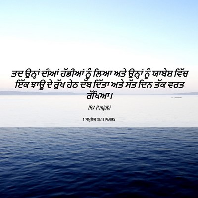 Picture 06 - 1 ਸਮੂਏਲ 31:13 PANIRV - ਤਦ ਉਨ੍ਹਾਂ ਦੀਆਂ - Bible Verse Picture