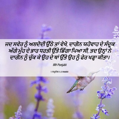 Picture 06 - 1 ਸਮੂਏਲ 5:3 PANIRV - ਜਦ ਸਵੇਰ ਨੂੰ - Bible Verse Picture