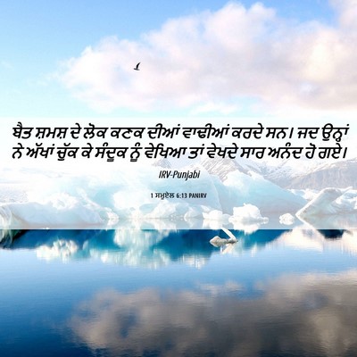Picture 06 - 1 ਸਮੂਏਲ 6:13 PANIRV - ਬੈਤ ਸ਼ਮਸ਼ ਦੇ ਲੋਕ - Bible Verse Picture