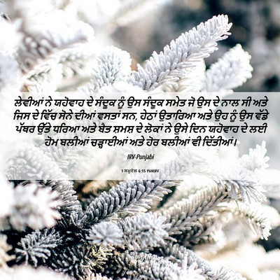 Picture 06 - 1 ਸਮੂਏਲ 6:15 PANIRV - ਲੇਵੀਆਂ ਨੇ ਯਹੋਵਾਹ - Bible Verse Picture