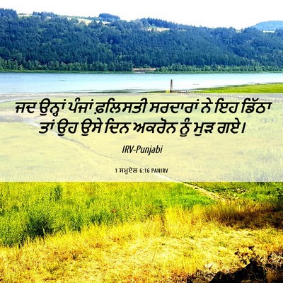 Picture 06 - 1 ਸਮੂਏਲ 6:16 PANIRV - ਜਦ ਉਨ੍ਹਾਂ ਪੰਜਾਂ - Bible Verse Picture