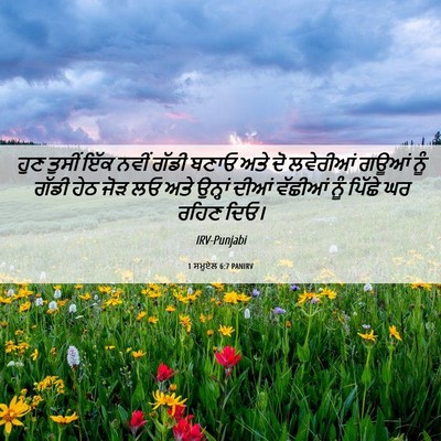 Picture 06 - 1 ਸਮੂਏਲ 6:7 PANIRV - ਹੁਣ ਤੁਸੀਂ ਇੱਕ ਨਵੀਂ - Bible Verse Picture