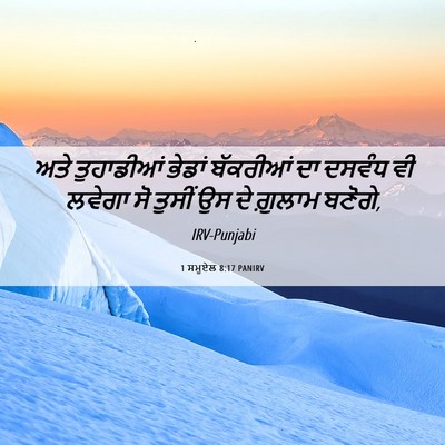 Picture 06 - 1 ਸਮੂਏਲ 8:17 PANIRV - ਅਤੇ ਤੁਹਾਡੀਆਂ - Bible Verse Picture
